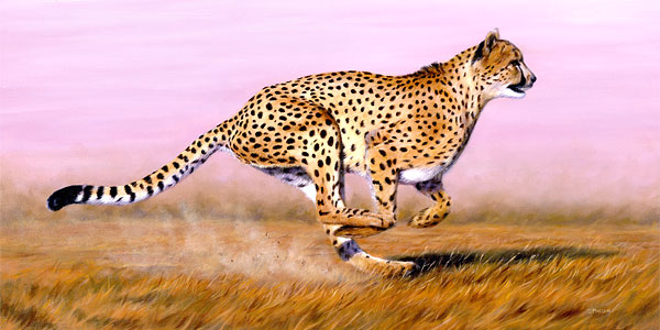 cheetah-oil-painting